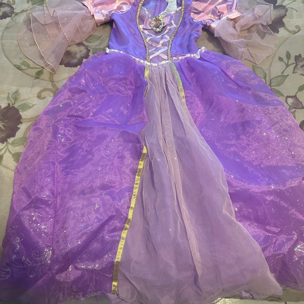 Disney Rapunzel Purple and Pink Theater Princess Costume